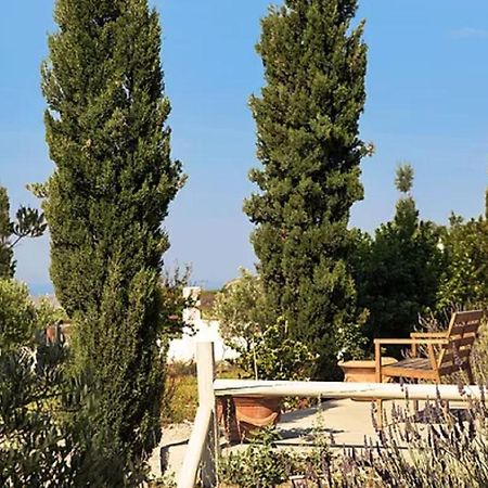 Christou Estate & Villas Пиргос Экстерьер фото